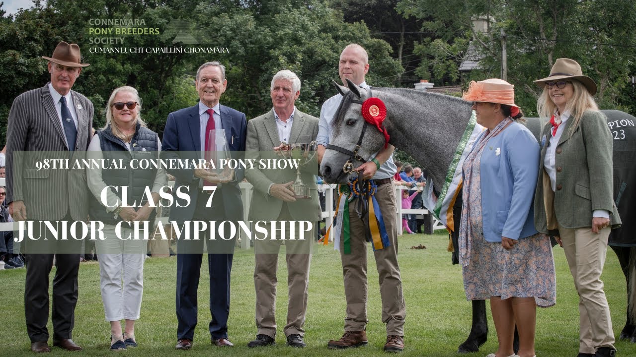Class Seven Junior Championship | 98th Annual Connemara Pony Show