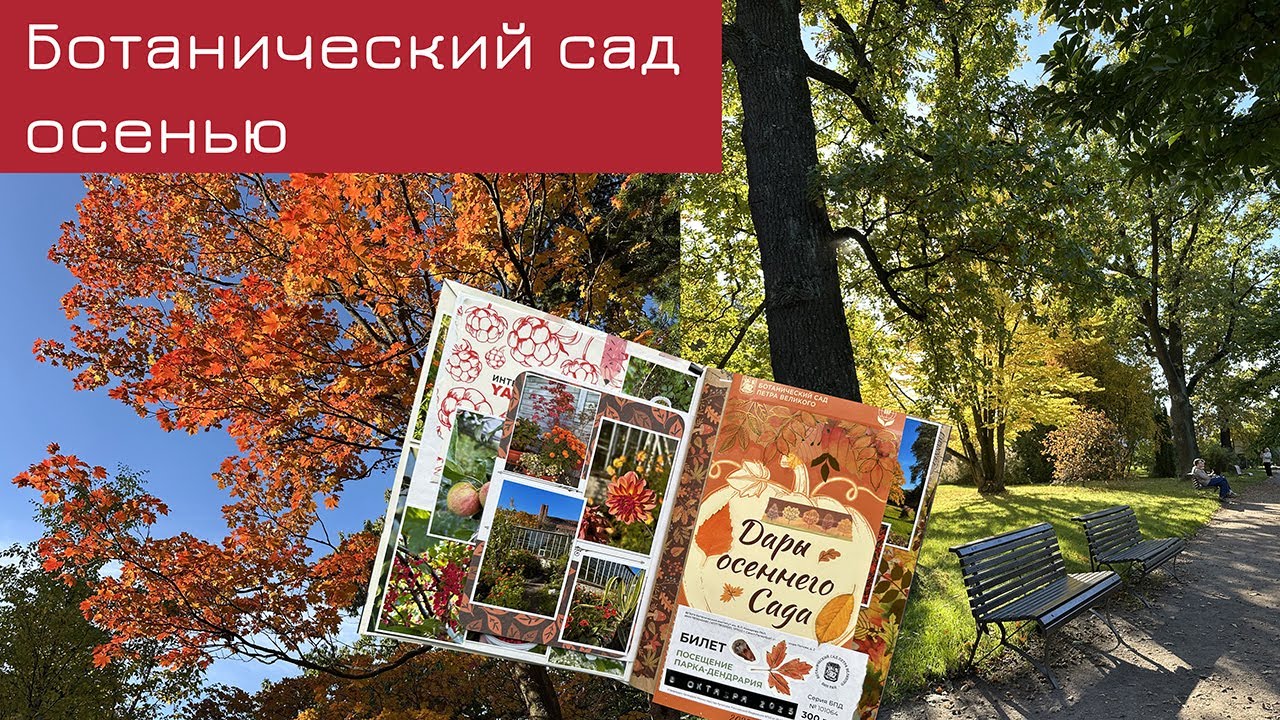 Осенняя прогулка в Ботаническом саду