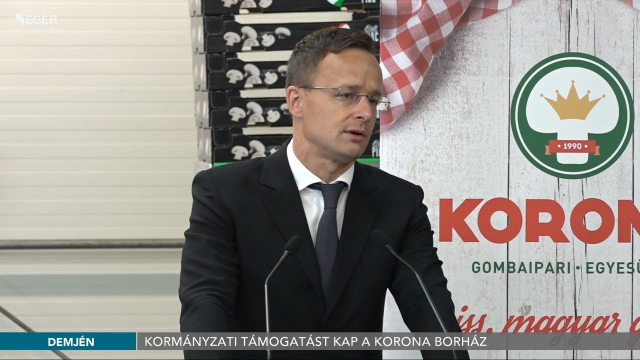 Kormányzati támogatást kap a Korona Borház - 2020.07.03.