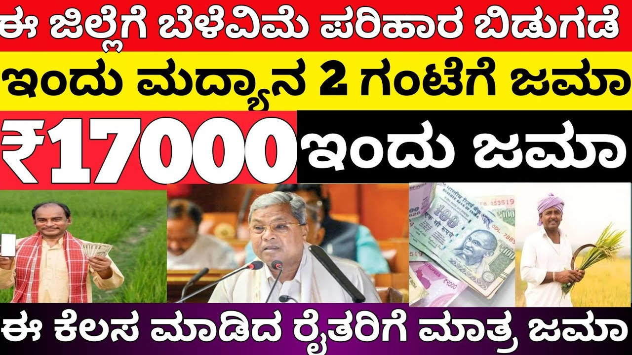 ಈ ಜಿಲ್ಲೆಗೆ ₹17000 ಬೆಳೆವಿಮೆ ಪರಿಹಾರ ಜಮಾ/15 ಜಿಲ್ಲೆಗೆ ಮಾತ್ರ ಜಮಾ/bele vime parihara 2025 karnataka