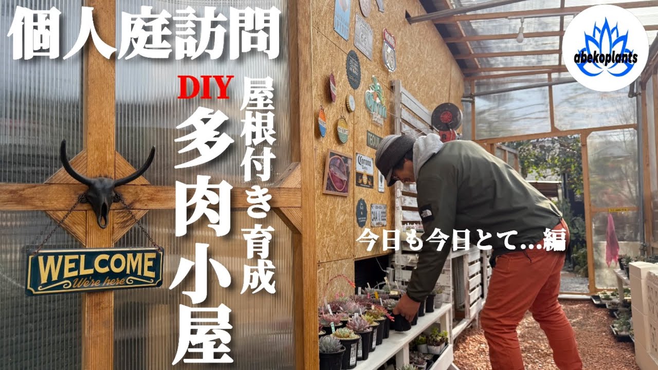 【個人庭訪問】野外で綺麗にアガベを育てる工夫の詰まった庭！part1.DIY編【多肉小屋】【育成ハウス】
