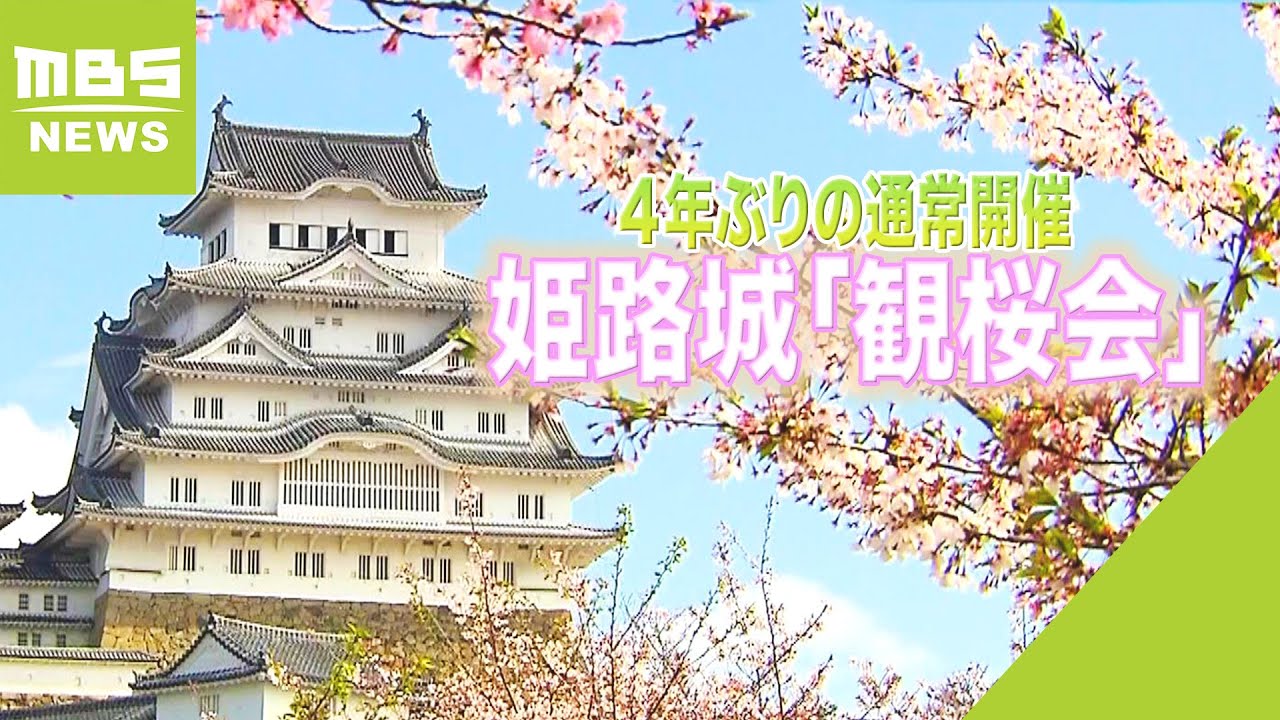 さくら名所１００選・姫路城で「観桜会」　４年ぶりの通常開催　多くの人たちで賑わう（2023年4月8日）