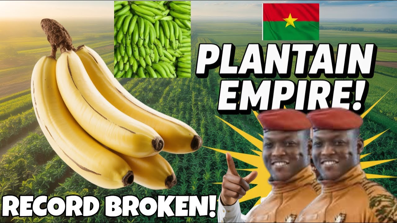 Ibrahim Traore SHOCKS Africa WITH WORLD'S LARGEST Plantain Farming Project?