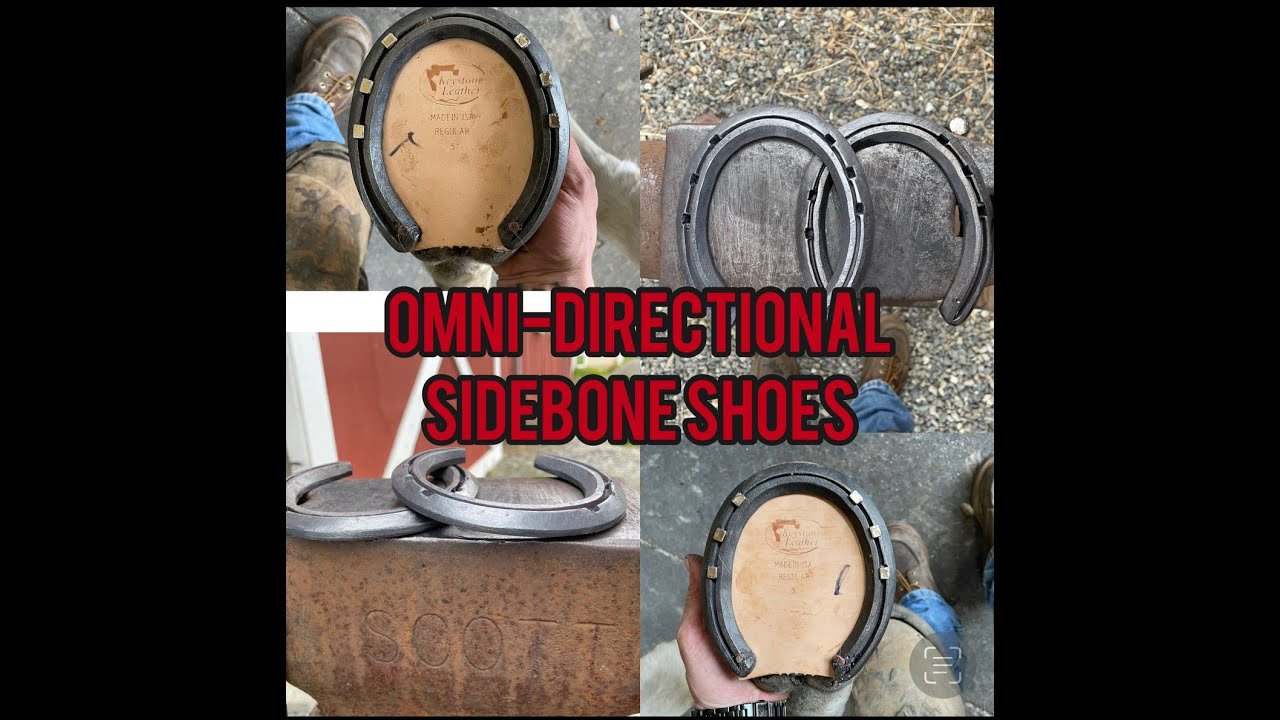Horse with SIDEBONE- Here’s how I shod him with HANDMADE shoes- Hoof Restoration