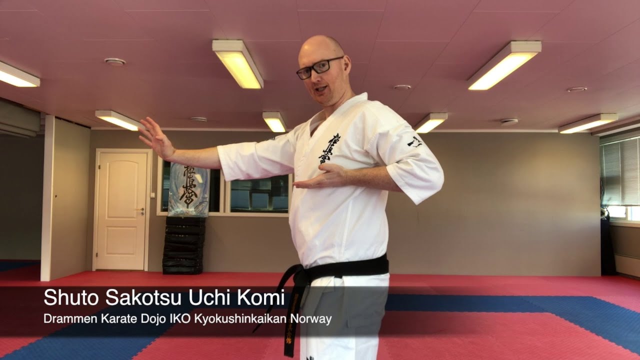 Shuto Sakotsu Uchi Komi