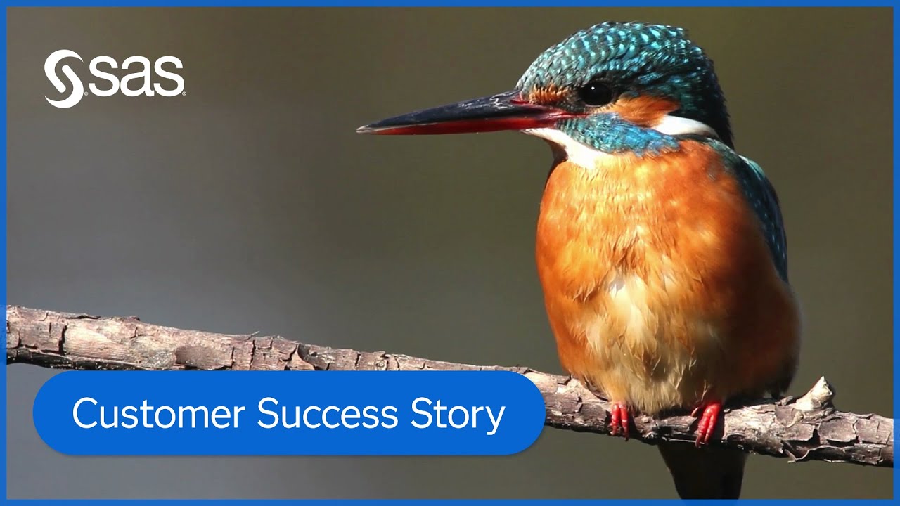 World Wildlife Fund | Personalized Donor Engagement for Greater Conservation Impact | SAS Customers
