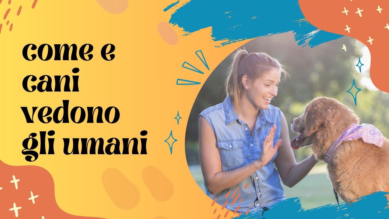 Come i Cani Vedono gli Umani  Scopriamo  la Visione Canina