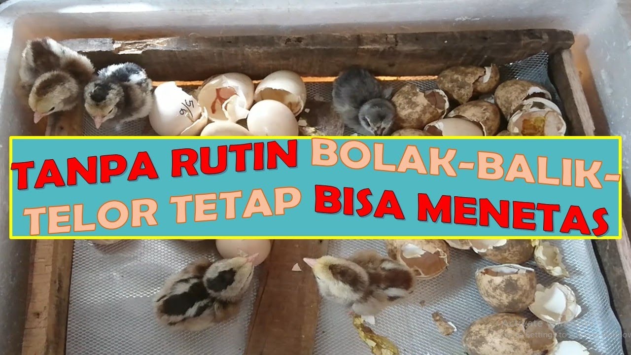 32# HASIL UJI COBA PERDANA  MESIN TETAS STATIS