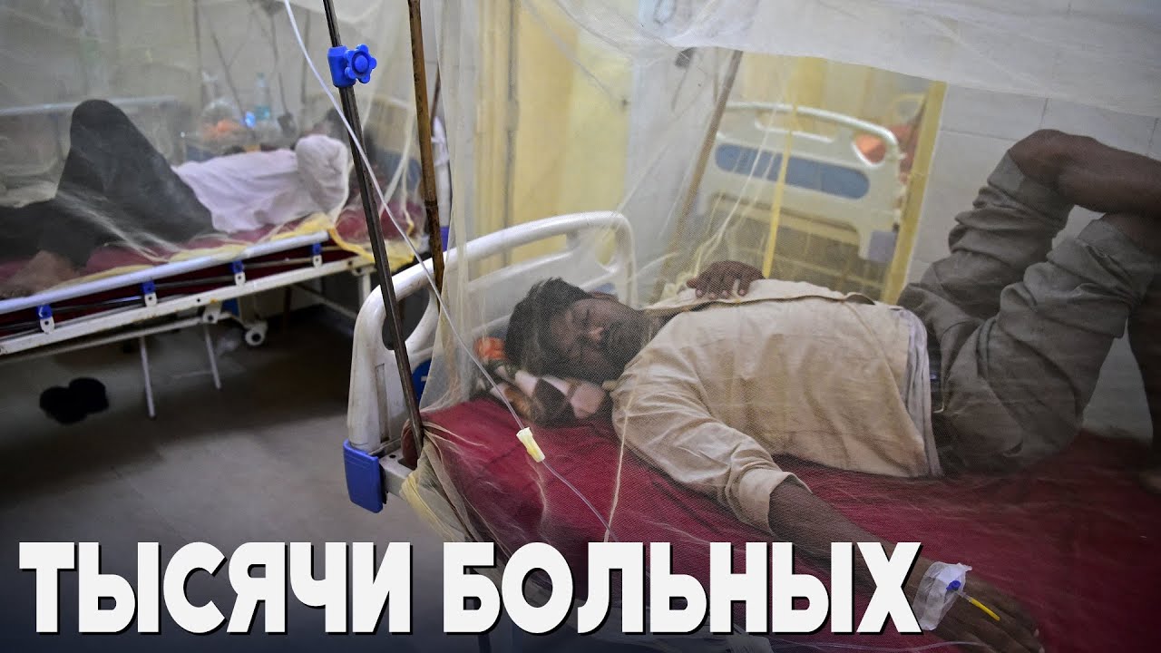 Лихорадка денге распространяется в Индии на фоне муссонов