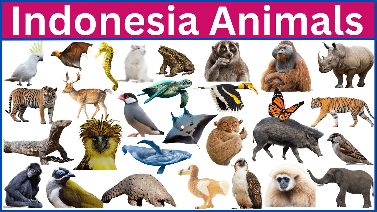 50 Incredible Wildlife Encounters in Indonesia
