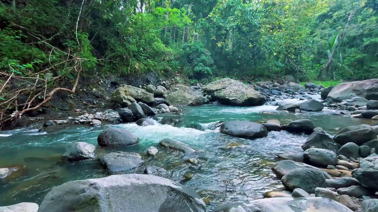 Gentle River Sounds for Sleeping, River Sounds for relaxation, Water Sounds for stress relief