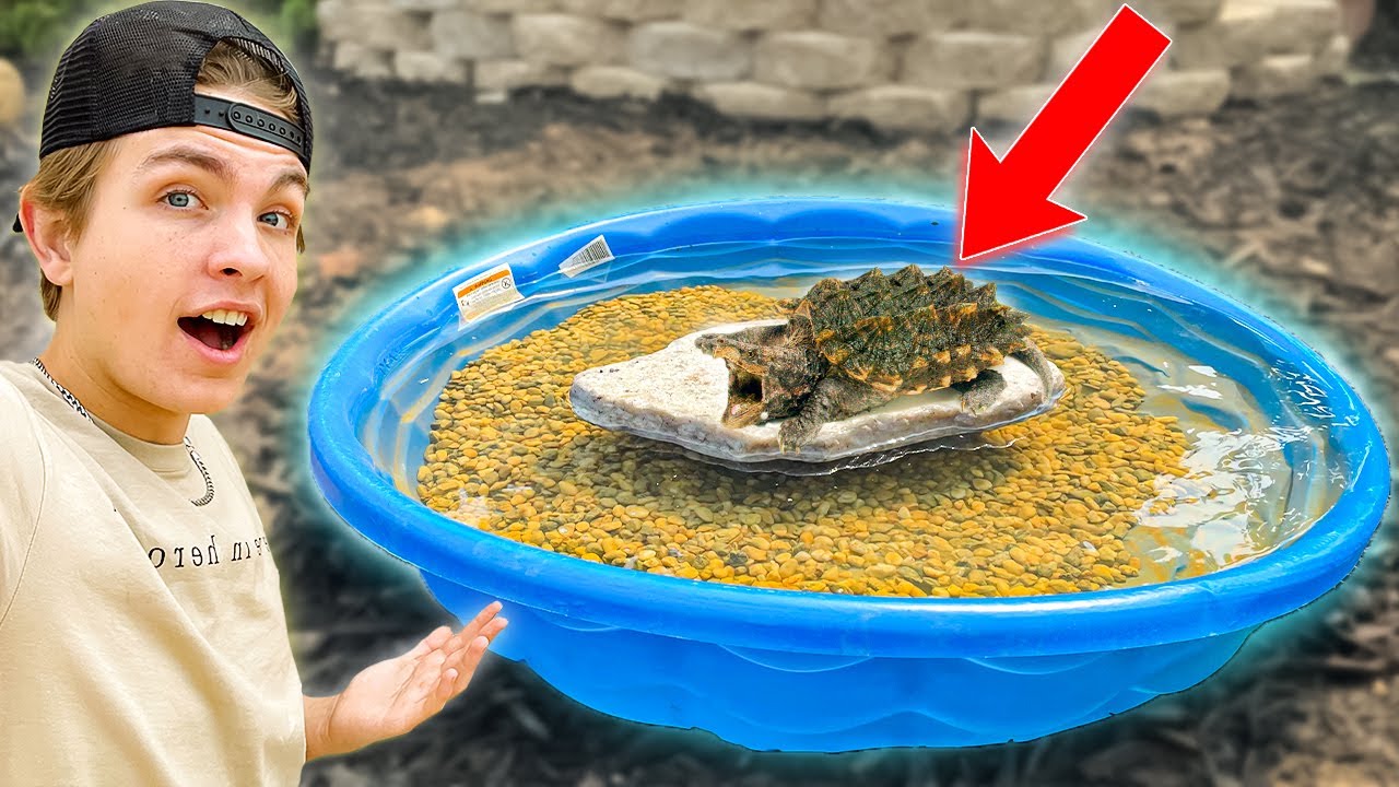 I Built CHEAPEST Mini DIY Turtle Pond!! (EASY)
