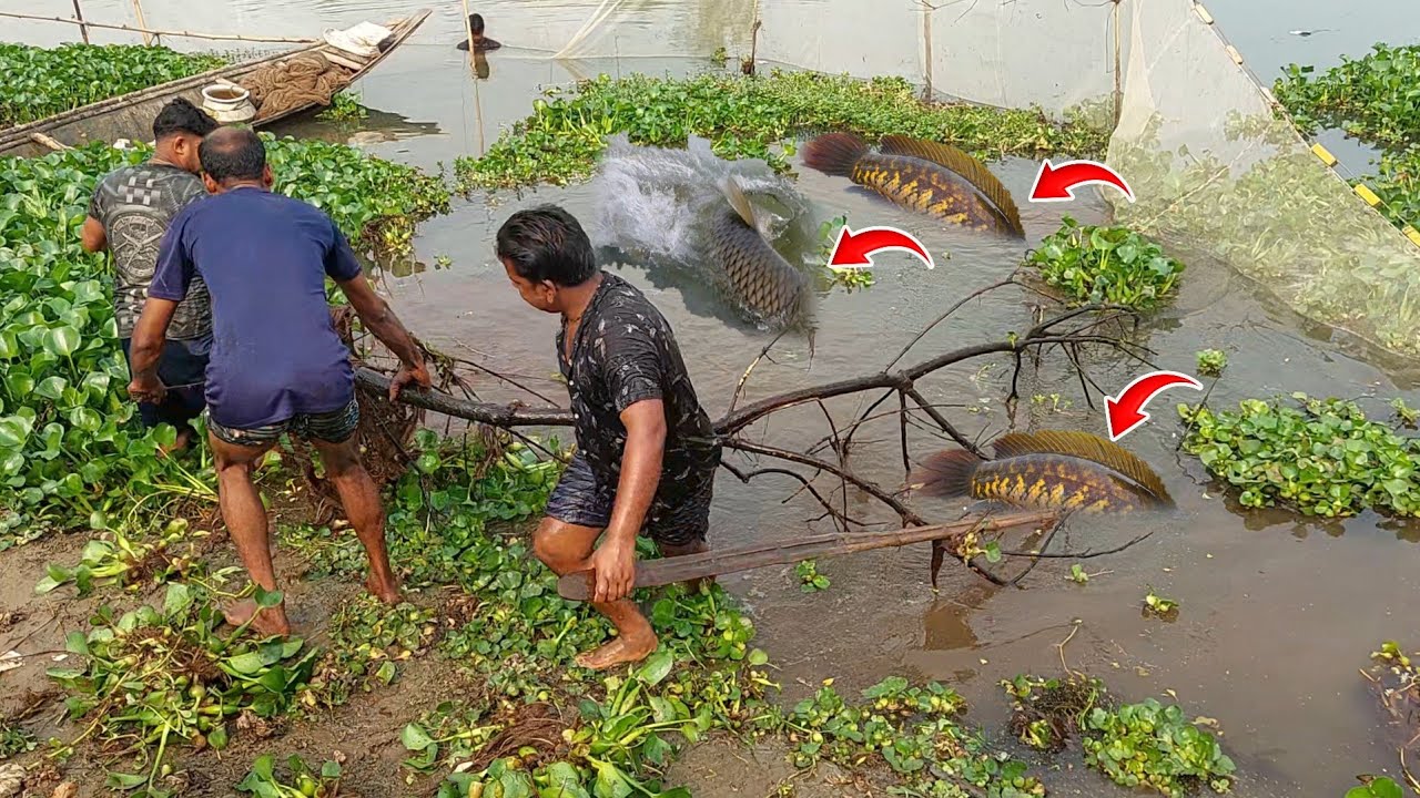 নদীতে জেলেরা ডুব দিয়ে কিভাবে বড় মাছ শিকার করে 😲 | সিজন ১ | পর্ব ৪ | Bangladesh river fishing 