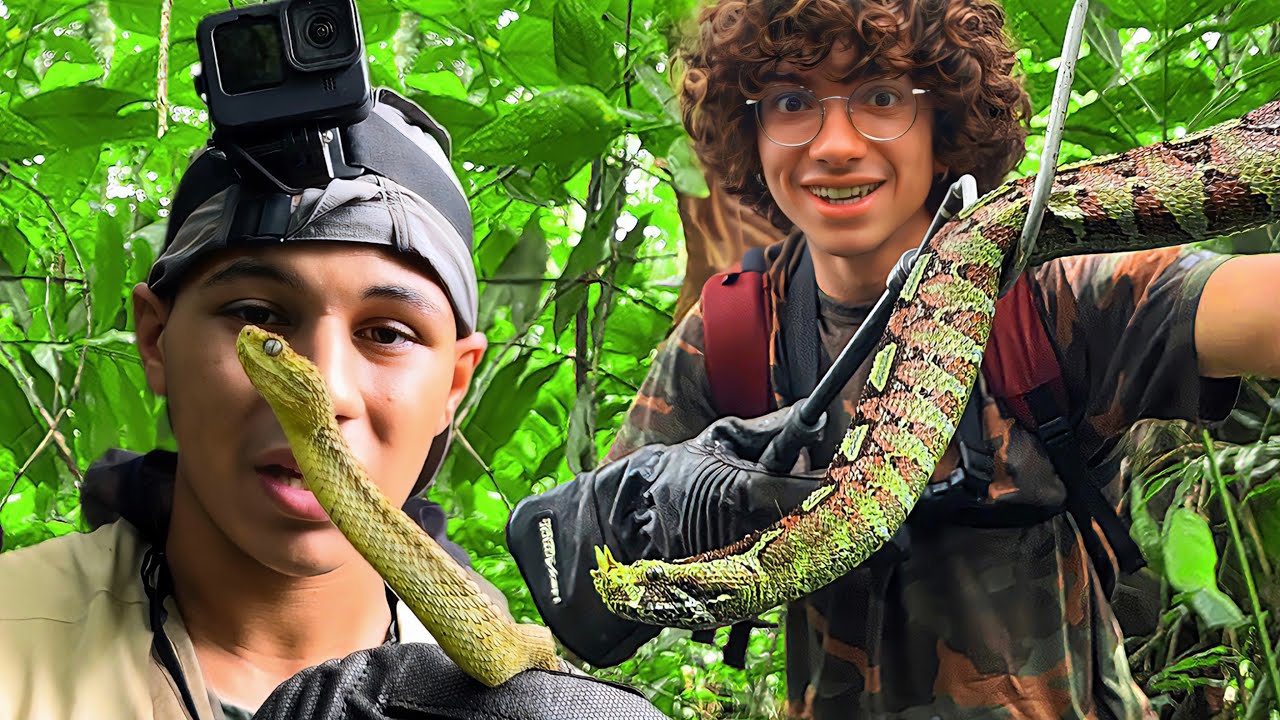 Encontramos Las Serpientes Más Venenosas De Uganda - Buscando Animales En Uganda 3