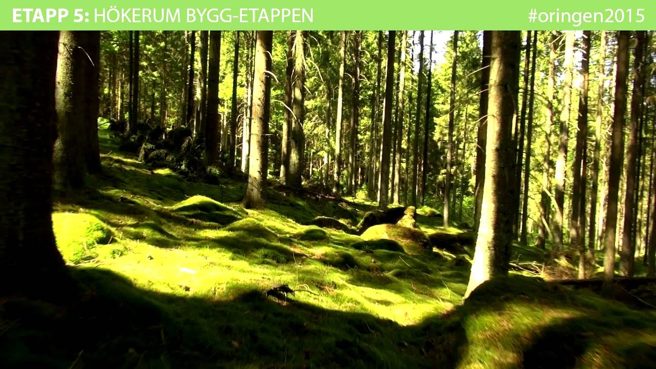 Etapp 5 - O-Ringen Bor&aring;s 2015 [H&ouml;kerum Byggetappen]