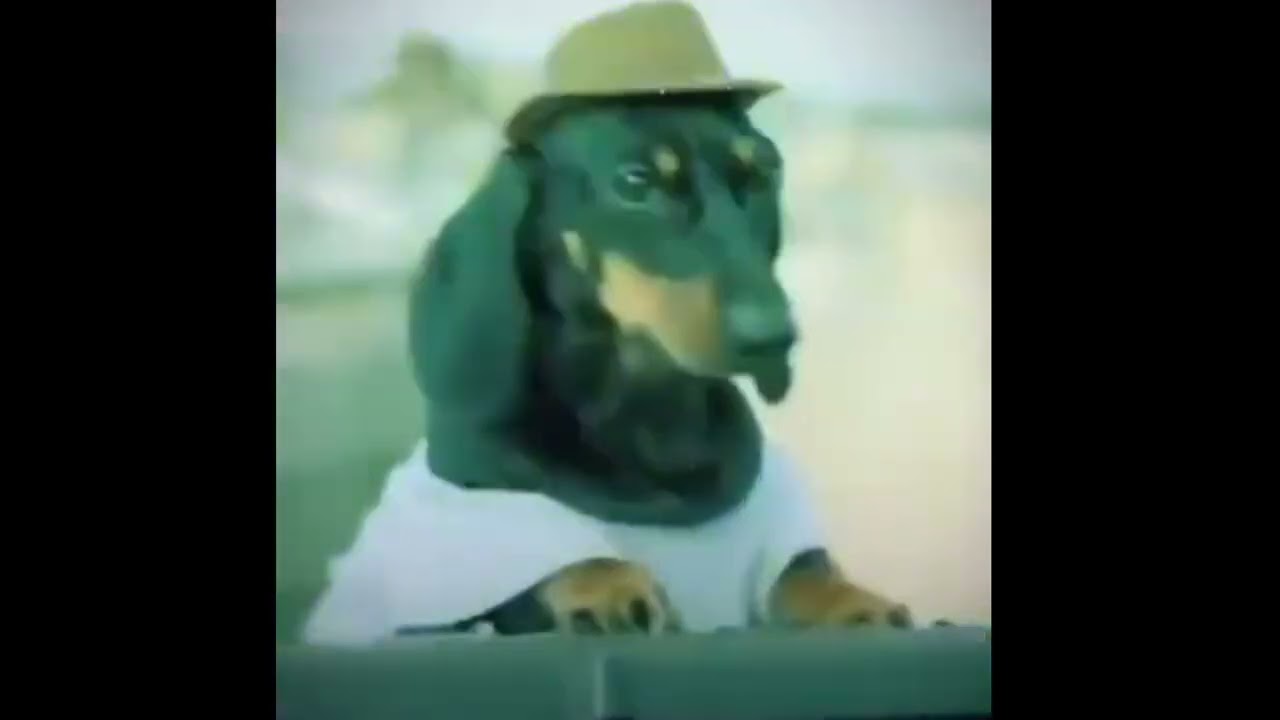 dj dog with hat - #274