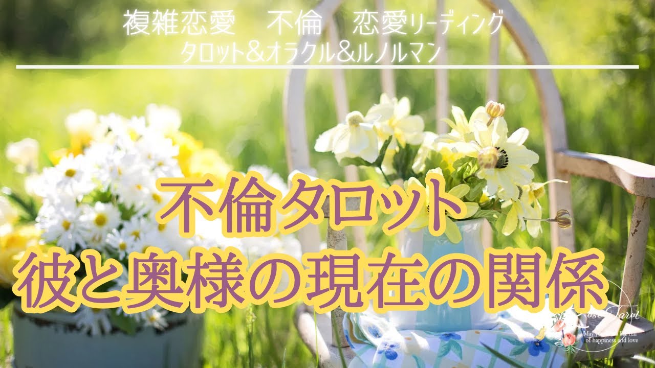 🥀不倫タロット🥀奥様と彼の現在の関係⚠️厳しめあり