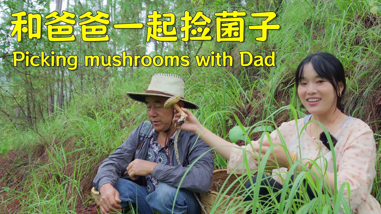 和爸爸一起上山捡菌子，做美味的野生菌大餐！【叫我阿霞Channel】