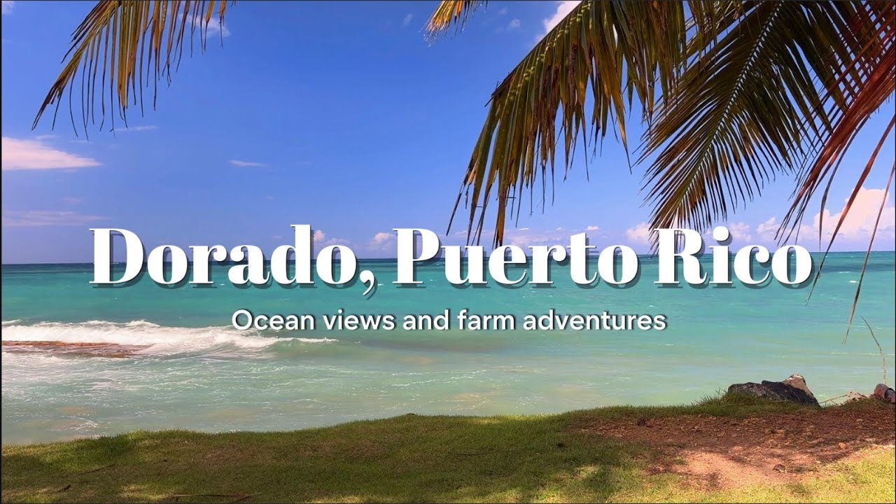 Exploring Dorado, Puerto Rico | Scenic Drive, Beach Walks & Local Life