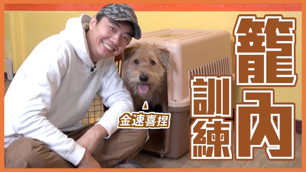 看完就能學會！五個步驟🤚教你完成#籠內訓練 就醬簡單｜熊爸估狗