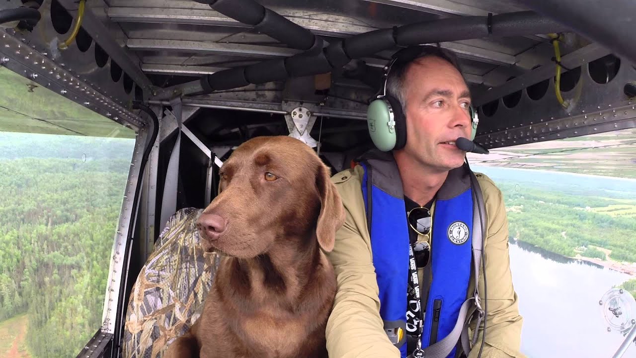 Float plane with flying dog Hindiana