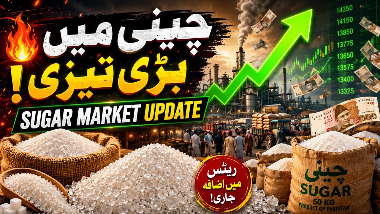 Sugar Market Update Today | Chini Rate Pakistan | Latest Sugar Prices 2026 📈
