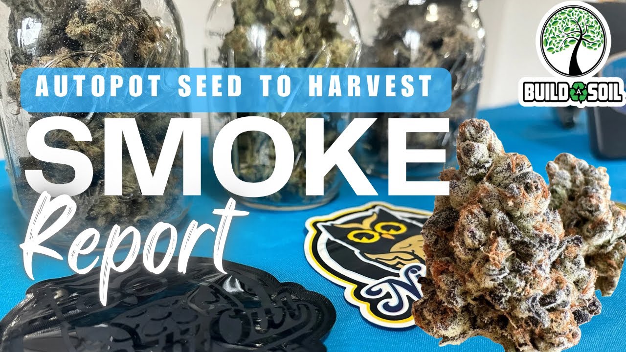 AutoPot Seed to Harvest Smoke Report