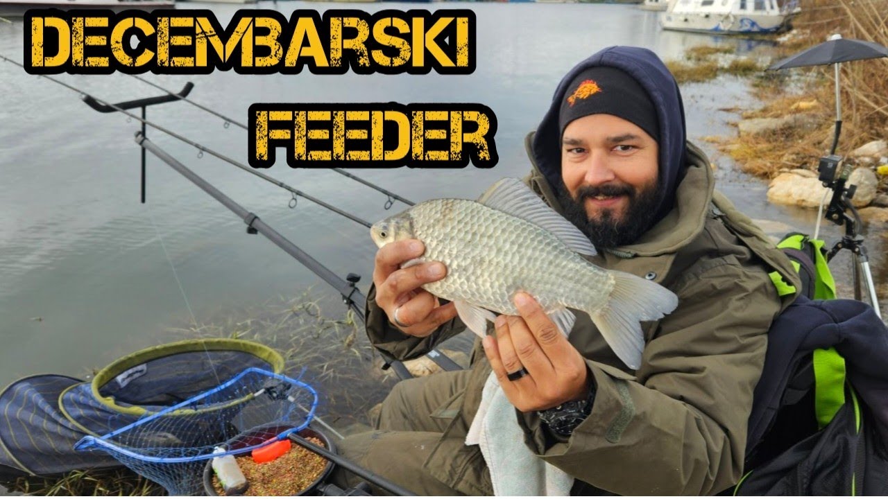 Feeder pecanje babuske u decembru. 