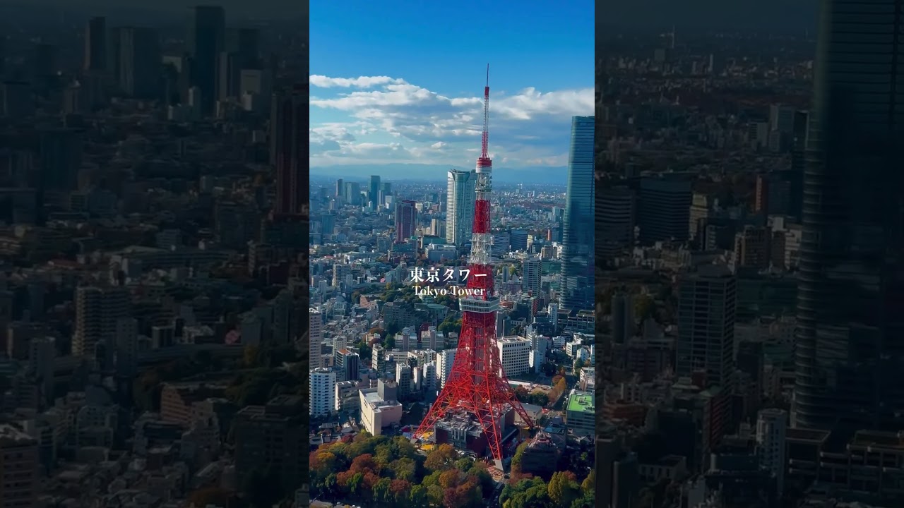 「ヘリコプター遊覧」って知ってますか？🚁【15分プラン】#tokyotravel #tokyo #japantravel