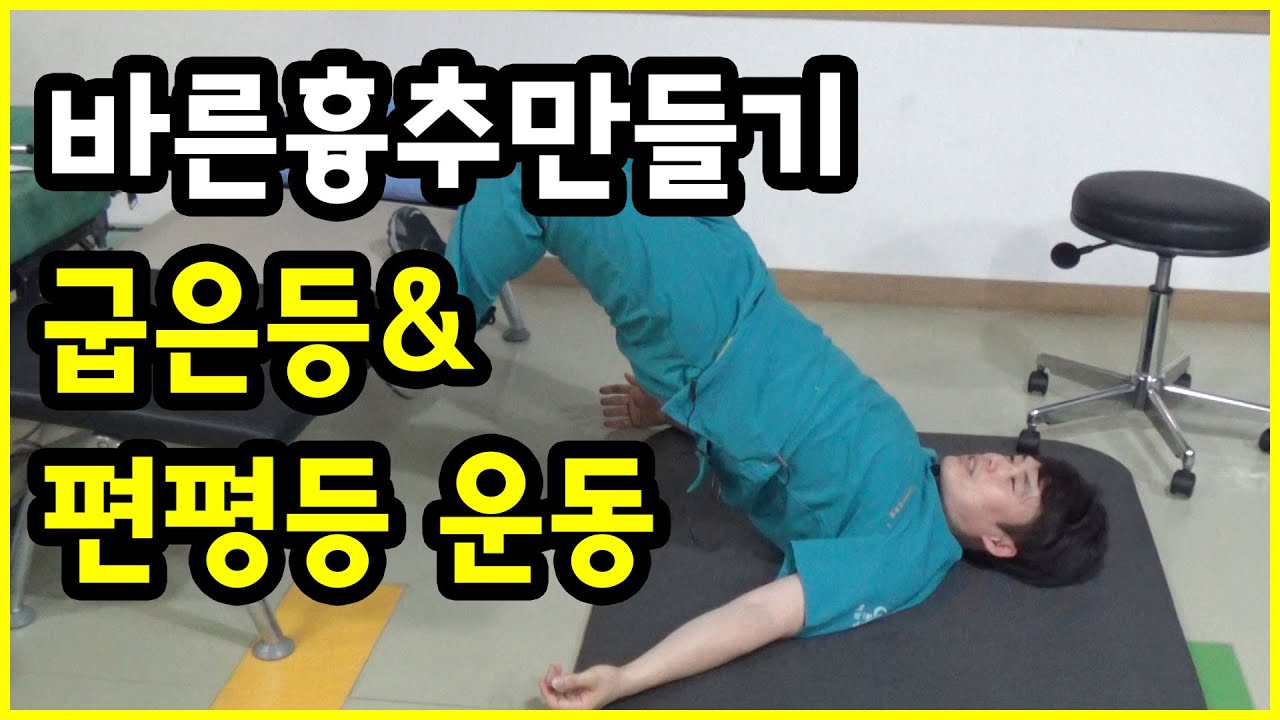 바른 흉추 만들기! 일상에서 쉽게 따라하는 굽은 등 펴는 운동&편평등 펴는 운동