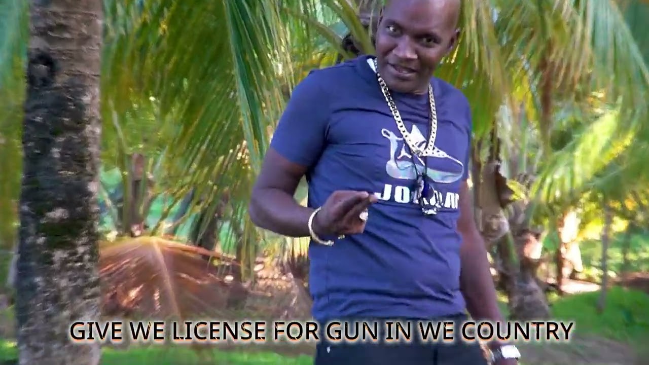 Wackerman - License for gun 2025 ( Official Music Video)