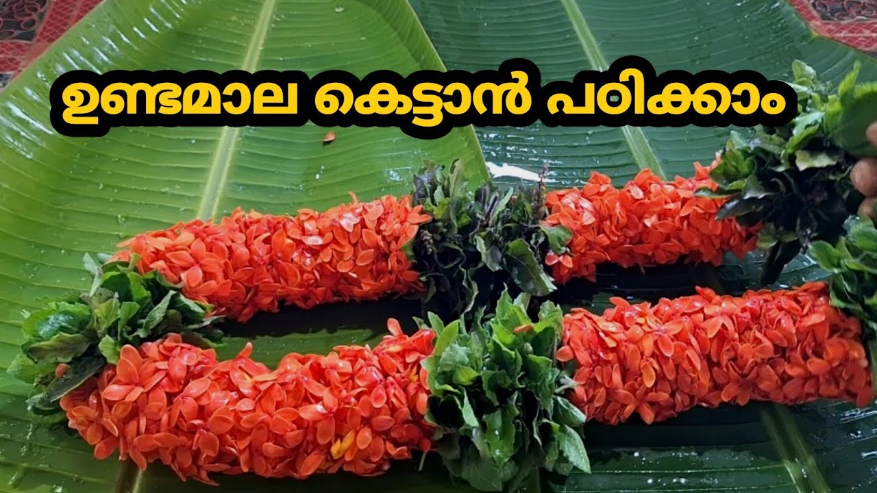 ഉണ്ടമാല കെട്ടുന്ന വിധം padma online #undamala guruvayoor  #pirimala devotees  @PADMA