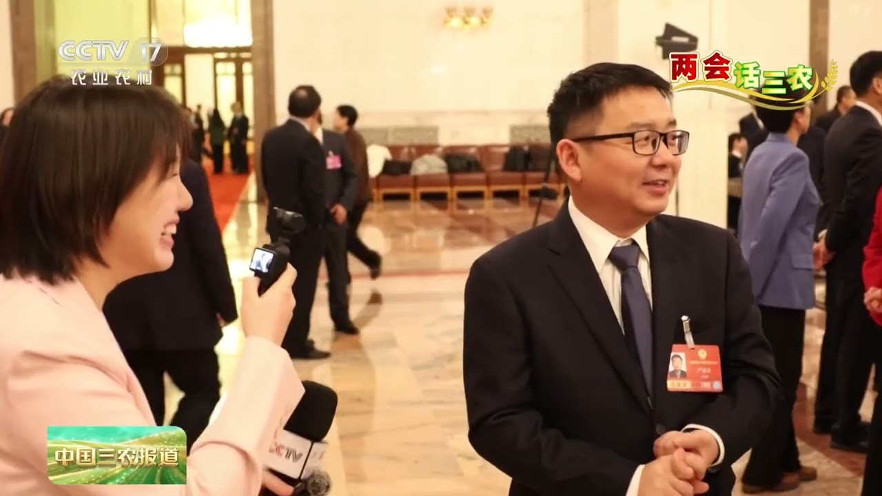 [中国三农报道]两会话三农 全国政协委员严建兵 一粒高蛋白玉米 激活产业全链条 | 农业致富经 Agriculture And Farming