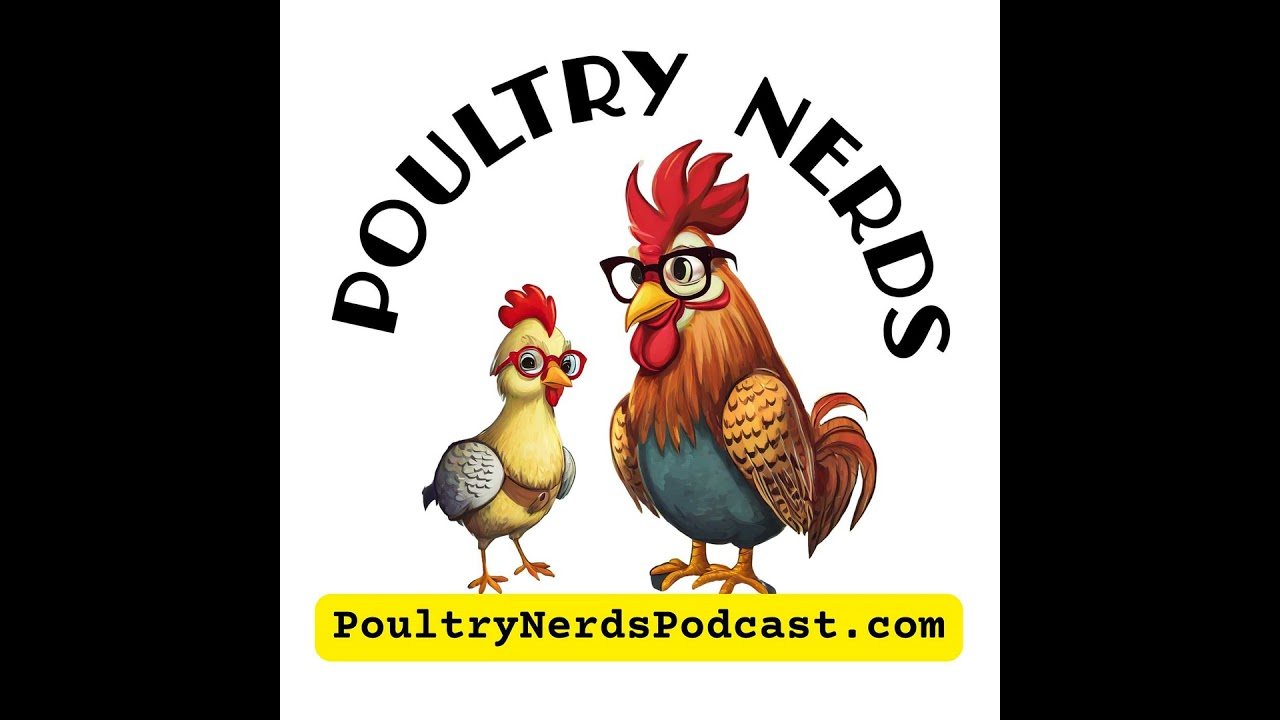 From backyard breeder to full time business, move your quail and chickens to the Next Level