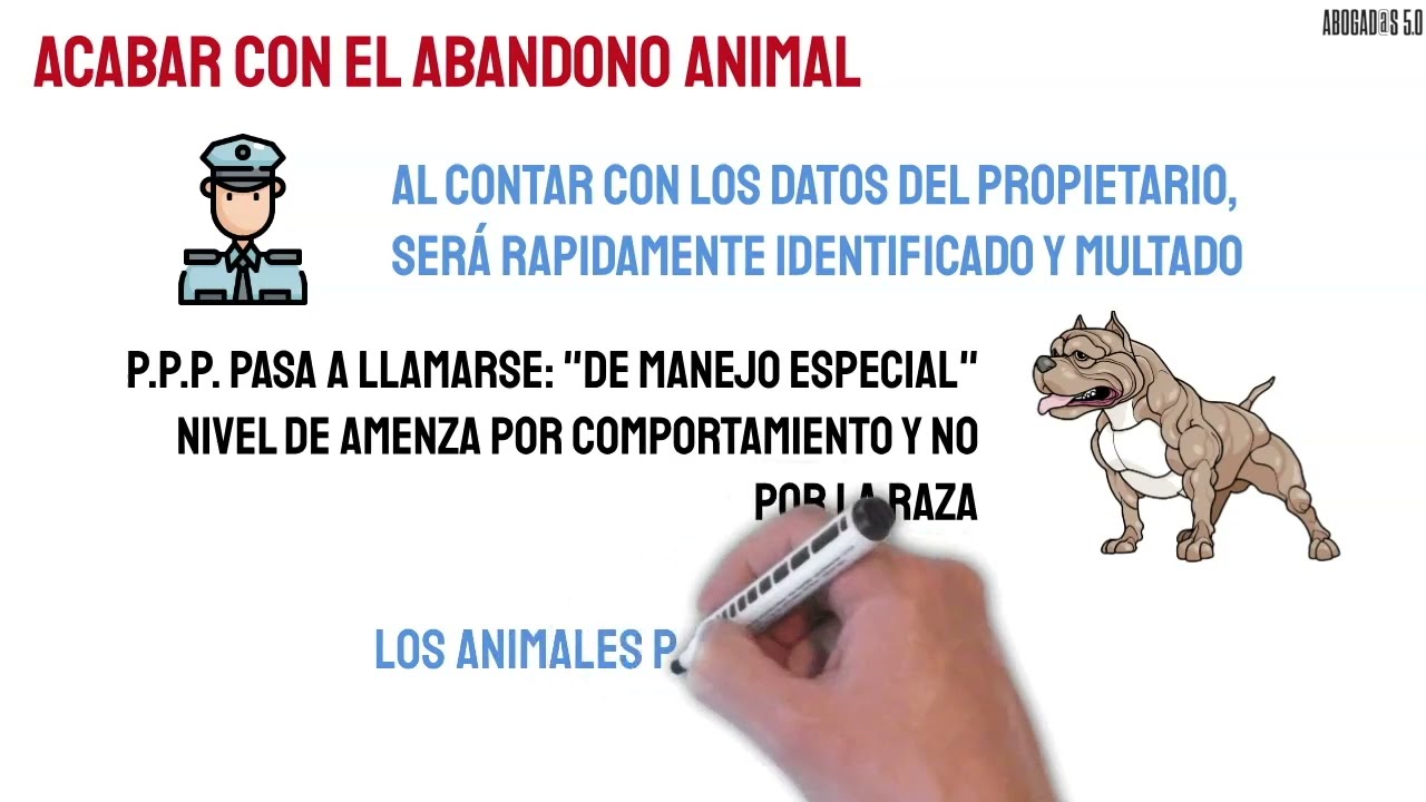 🐶🐱 NUEVA LEY de Protecci&oacute;n Animal - DNI y derechos para Perros y Gatos - Multas - Venta en Tiendas