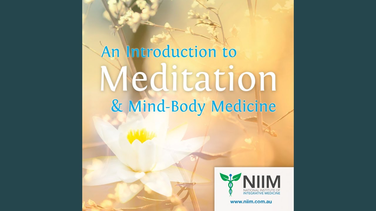 Stillness Meditation Therapy