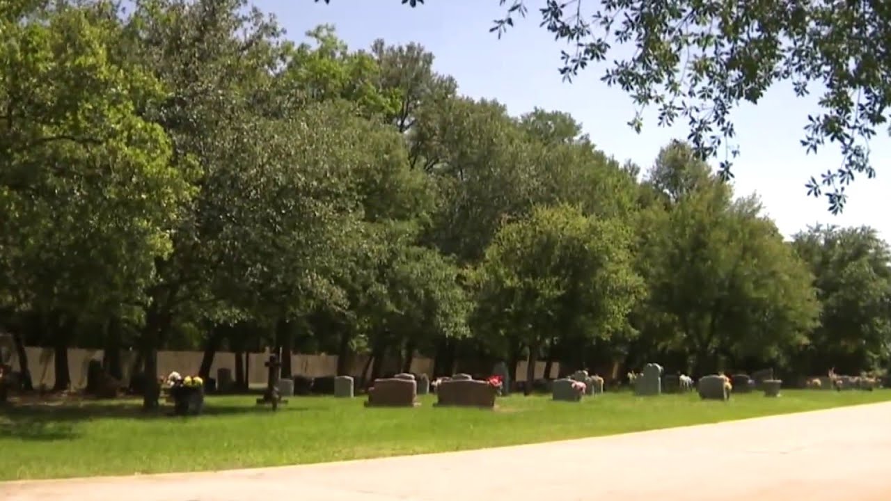 Thinking about having a ‘green’ burial? Here’s what you need to know