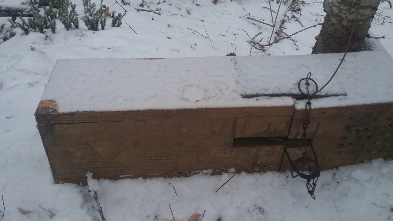 Comparison of Lynx Exclusion Devices for Marten and Fisher Trapping