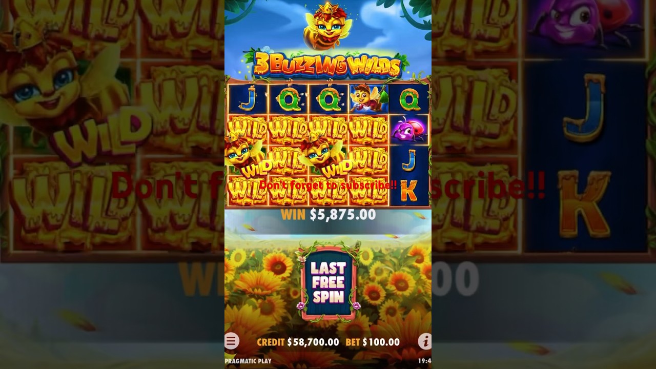 3 buzzing wilds $10,000 bonus buy sensational win