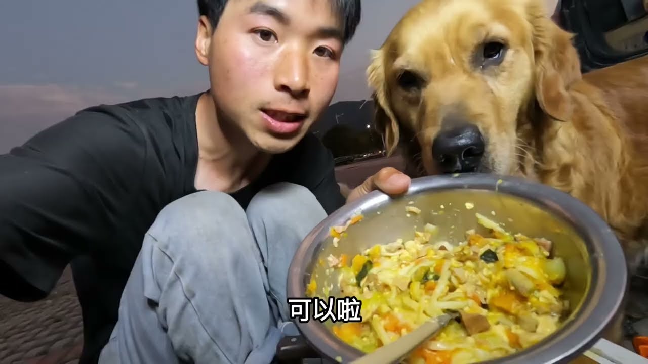 一路过了福建到浙江，春雨绵绵一切都很好，狗狗们车里躲雨真安静
