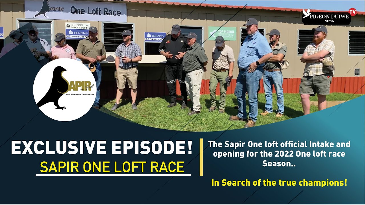 Pigeon Duiwe News TV- SAPIR ONE LOFT RACE - EXCLUSIVE EPISODE-!!