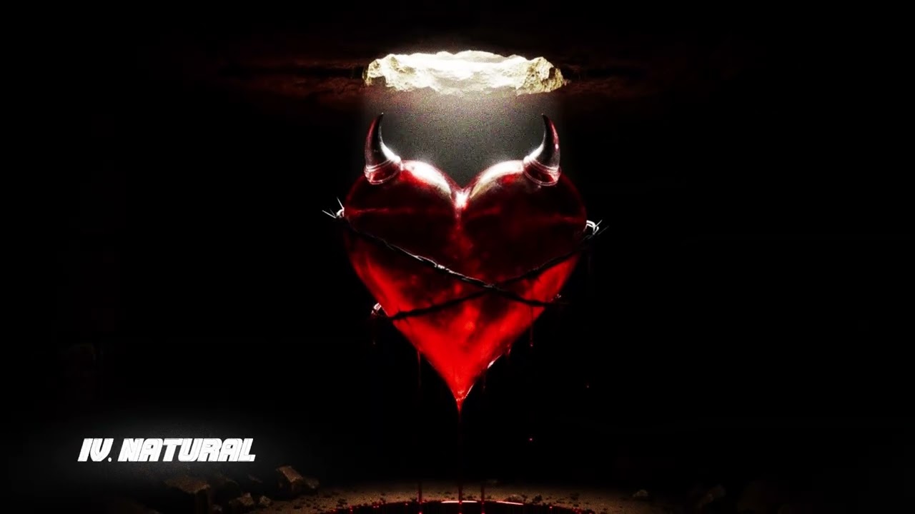 IV. NATURAL (Visualizer)