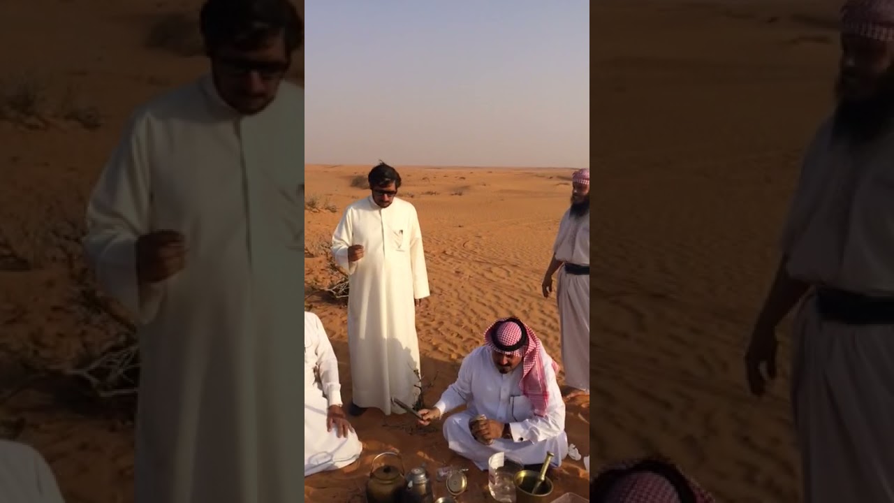 طلعة الحماطية