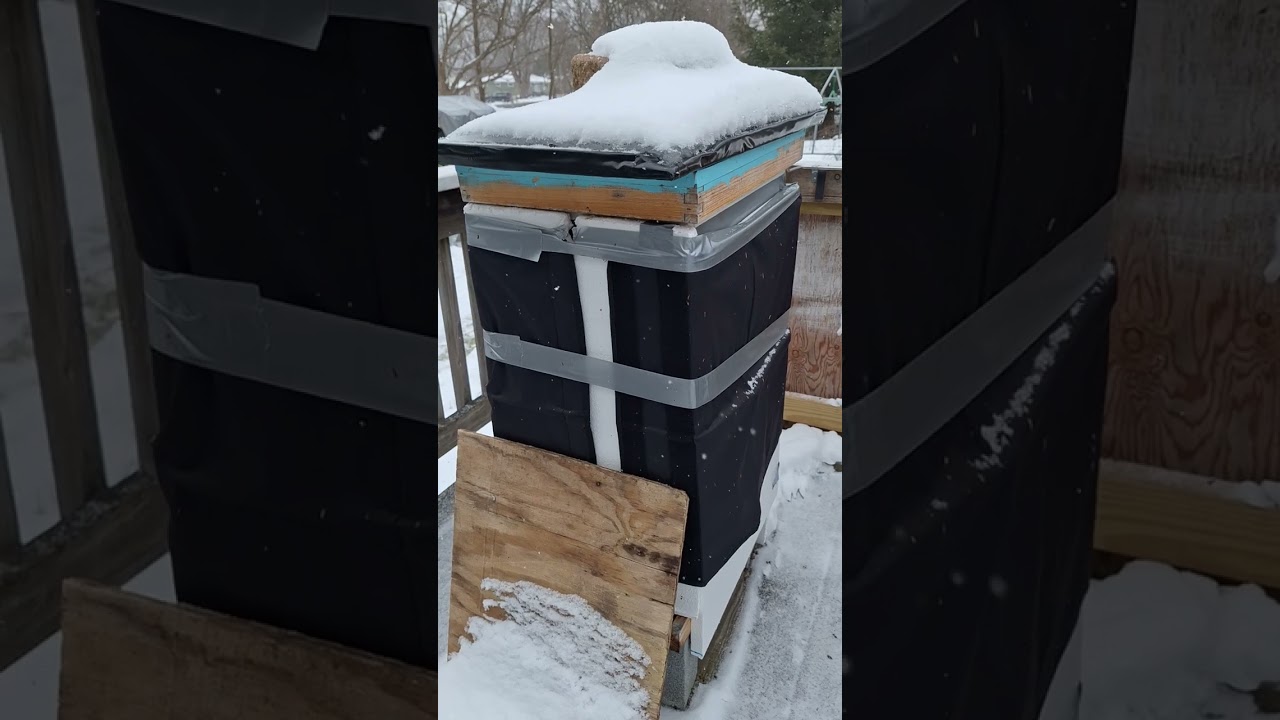 Beekeeping 1/19/2026 What happens inside a beehive in the winter?