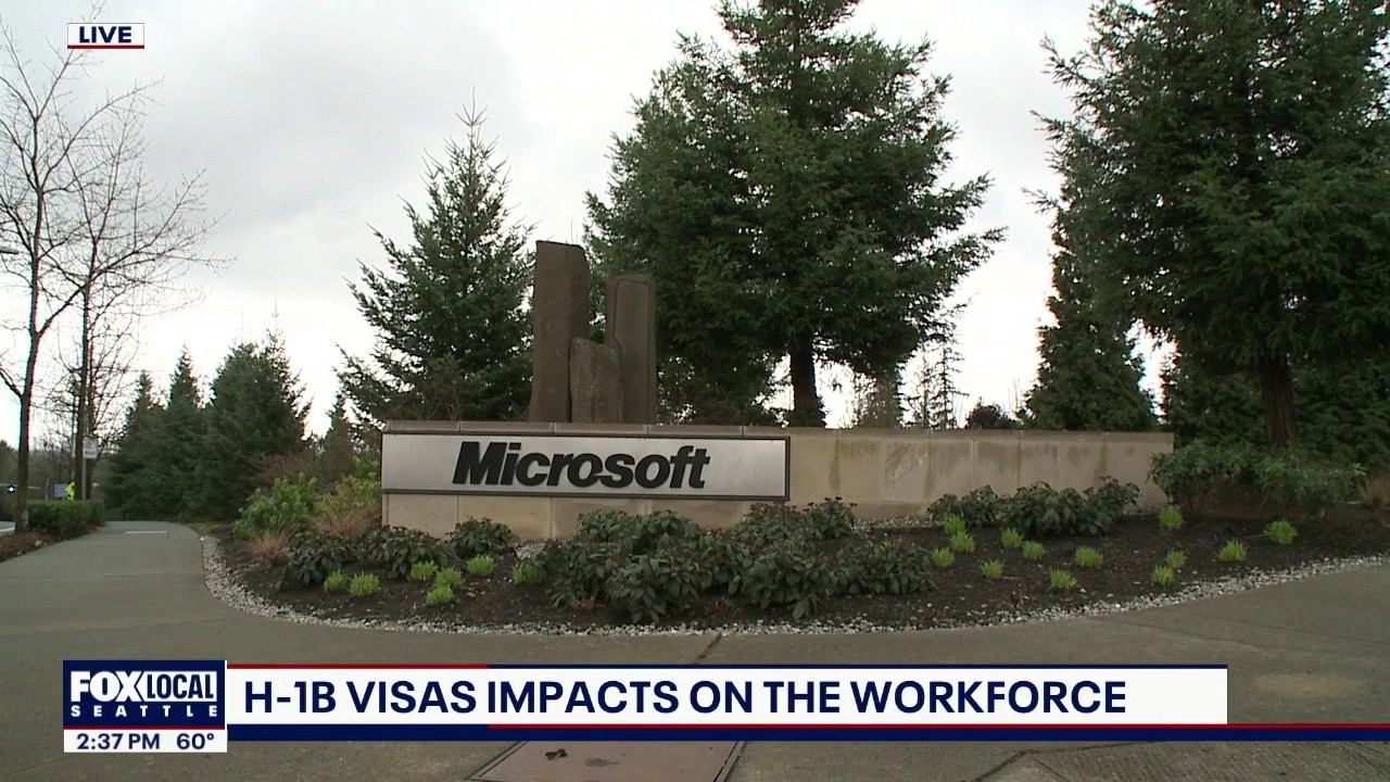The impacts of H-1B visas on the workforce