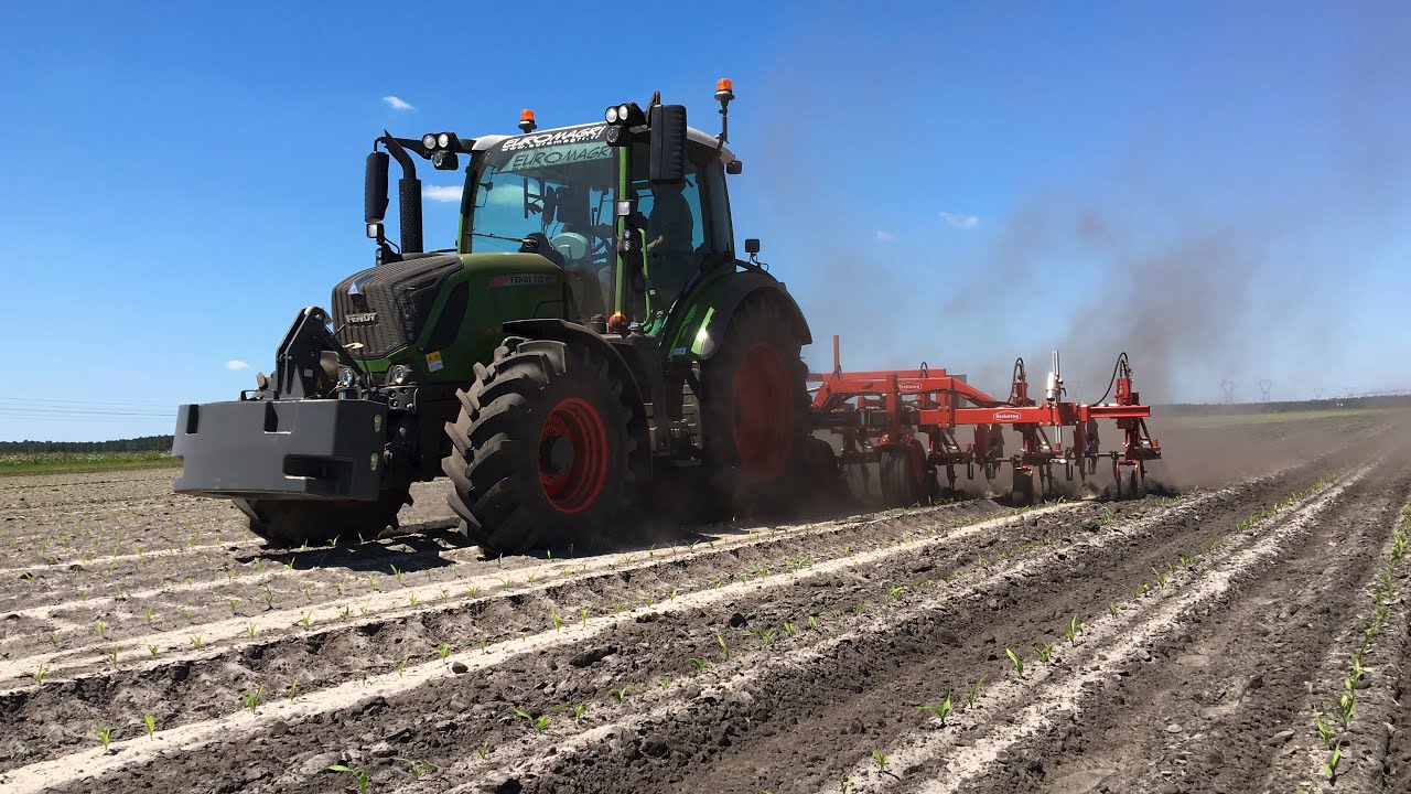 Binage Maïs Fendt + bineuse à caméra Steketee