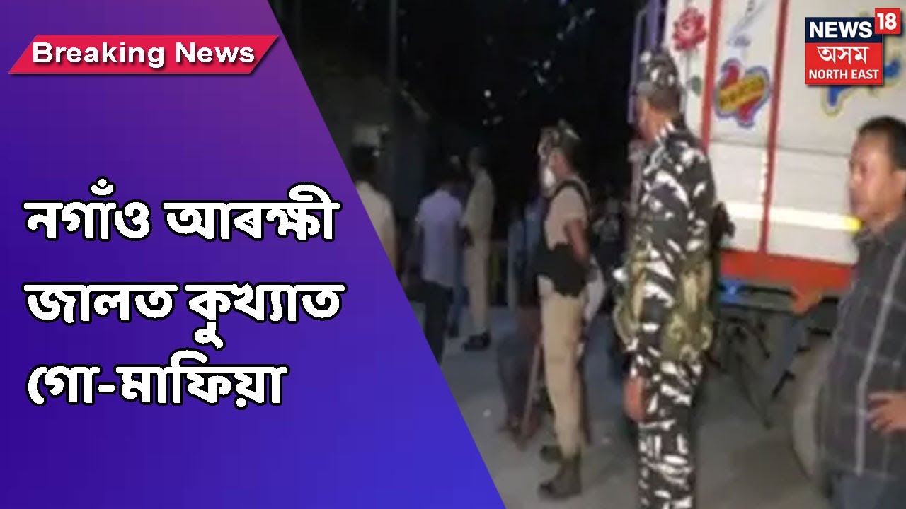 Nagaon Police | চোৰাং গো-মাফিয়া গোলাম মোস্তাফাক আটক কৰিছে আৰক্ষীয়ে