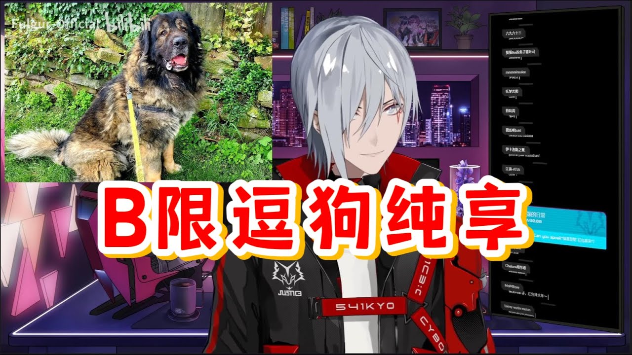 [熟]B限Fu逗狗片段/吓狗勾+狗爪印+吹口哨/B限/Fulgur Ovid