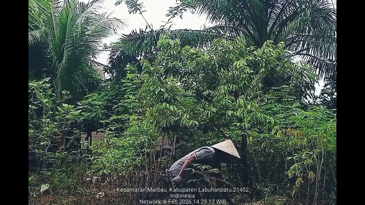 Ketenangan Hidup di Pedesaan 