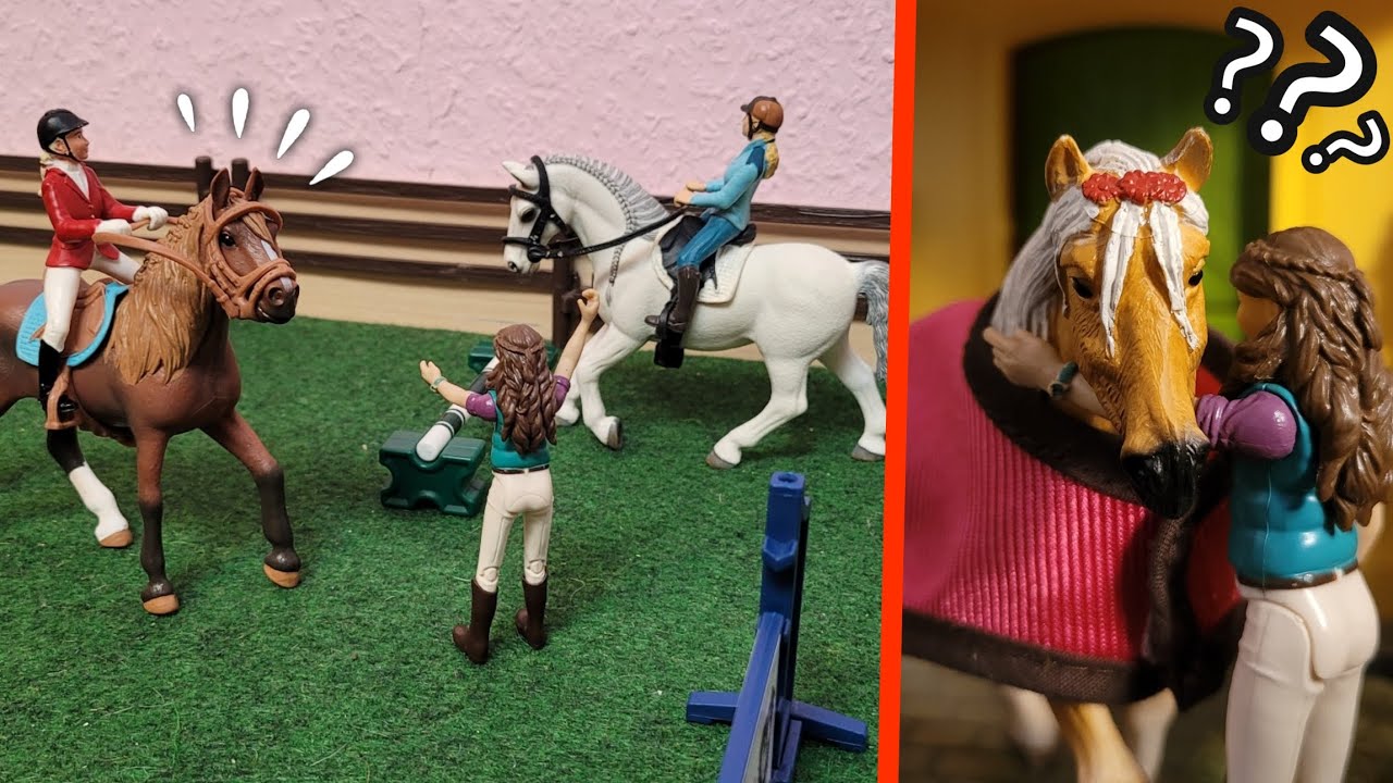 IST KITTY KRANK? 😢 Lisas Reitstunde 🐴💕 Schleich 